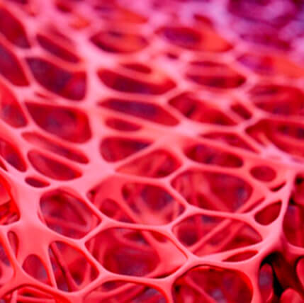 Cellfit