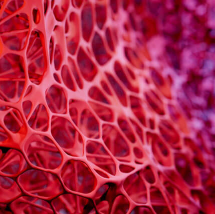 Cellfit shock absorbing foam
